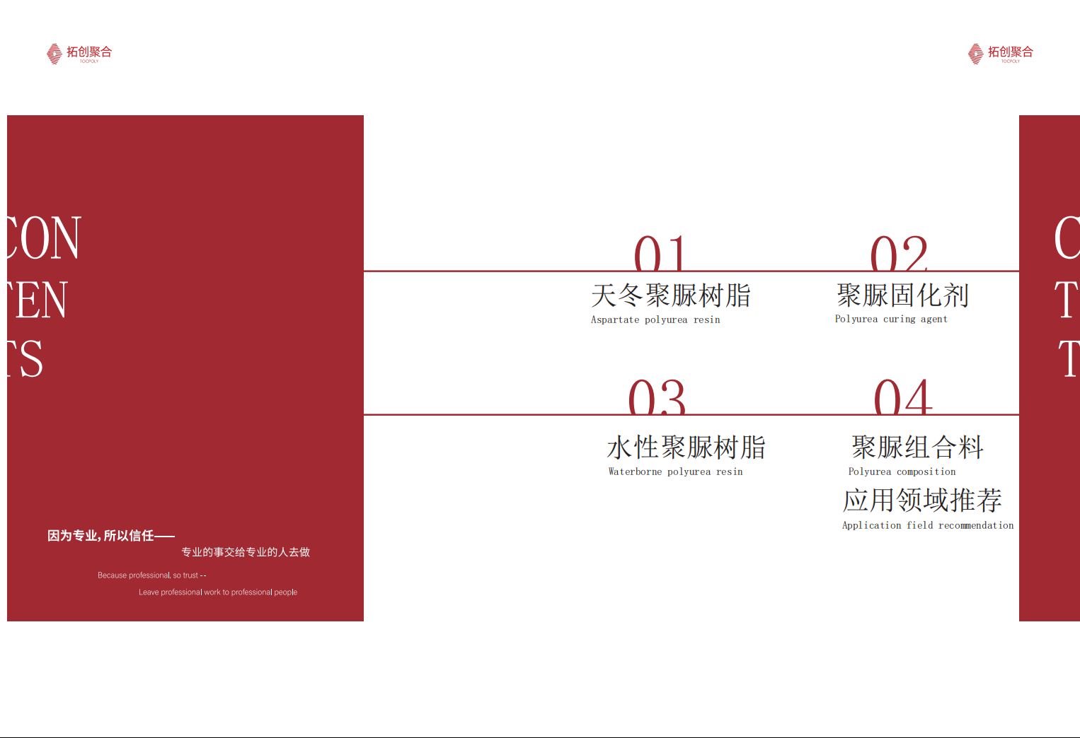 2025.12天冬聚脲-产品册4