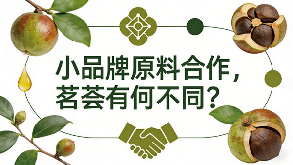 小品牌原料合作，茗荟有何不同？