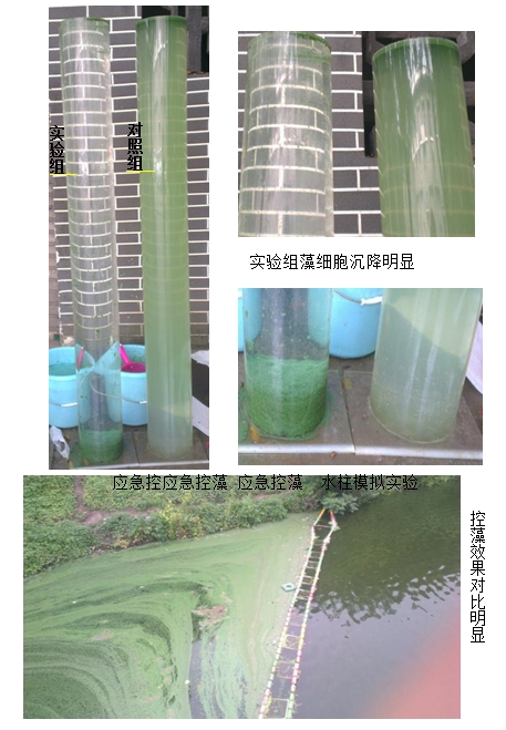 湖南利尔康,生物酶制剂研发,生物酶制剂产品,利尔康生物酶,湖南食品添加剂