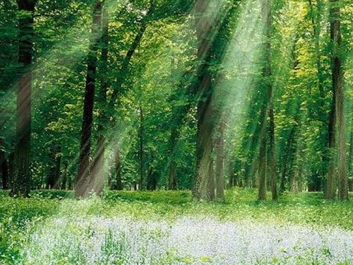 利尔康污水治理