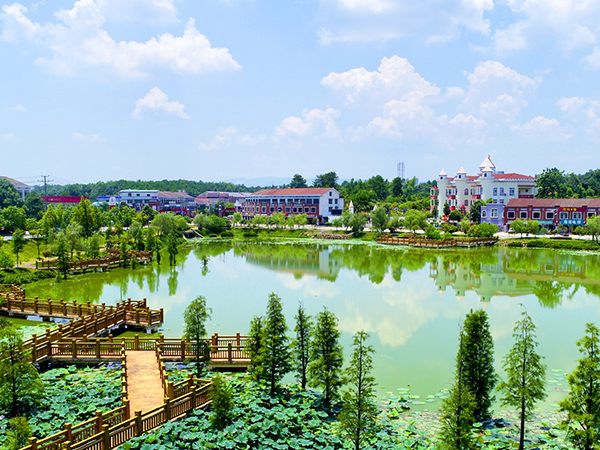 開慧-國家級衛(wèi)生鎮(zhèn)