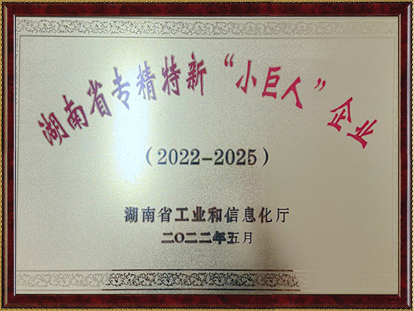 2022年度湖南省专精特新小巨人企业-2022.5月