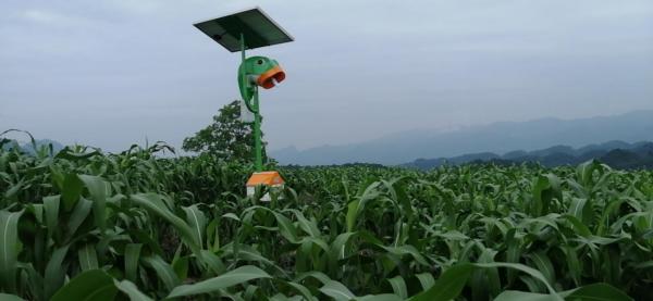 贵州茅台有机高粱基地应用