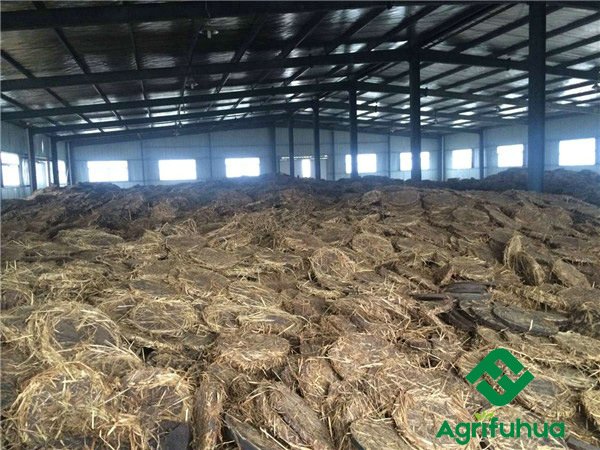 Factory appearance 5