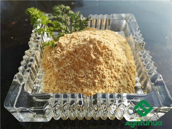 Tea saponin powder
