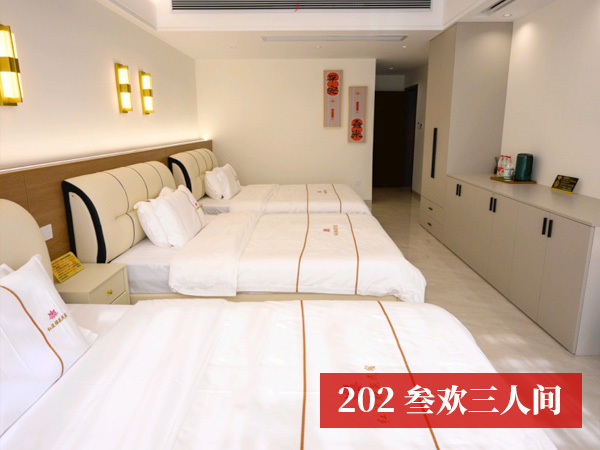 202-叁欢三人间