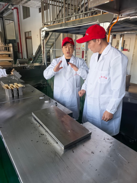 福建宁德赤溪镇金花白茶正式批量生产