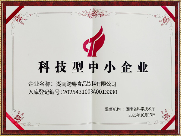 科技型中小企業(yè)