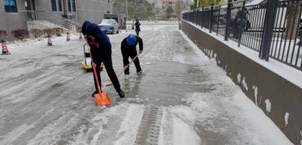 雪落家园，情暖归途！星辉物业以雪为令，为您扫出平安路