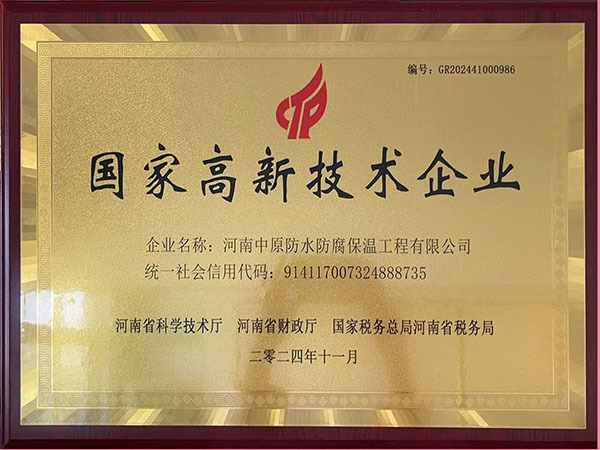 國家高新技術(shù)企業(yè)