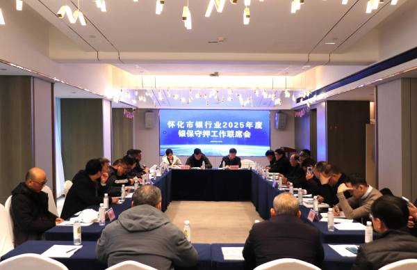 筑牢金融安全基石，護(hù)航地方穩(wěn)健發(fā)展