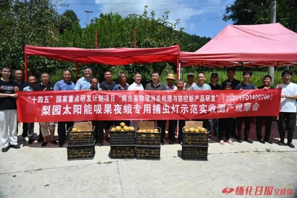 “我们的金秋梨有救了”——当本业牌太阳能吸果夜蛾专用捕虫灯上岗以后