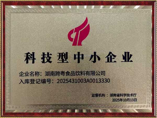 科技型中小企業(yè)