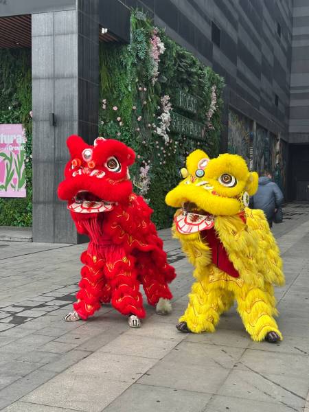 开工大吉｜2026马力全开，乘风启航！