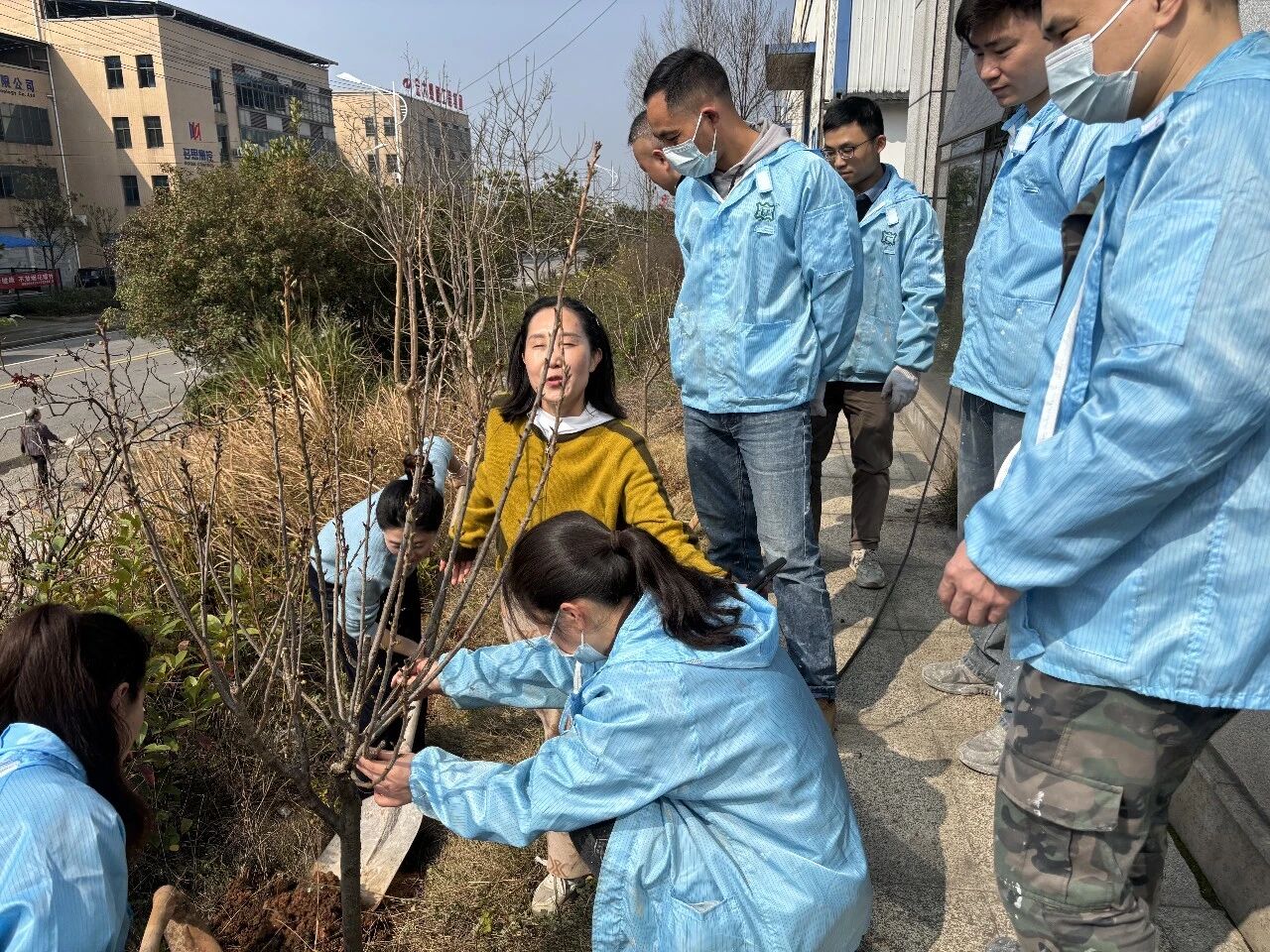 6d1774c18bb16e5b5efc72c0692bd9 6d1774c18bb16e5b5efc72c0692bd9