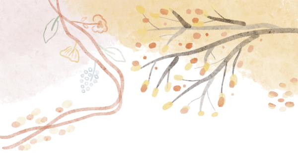 以赛促学，巩固根基——石外高中高三古诗文理解性默写大赛助力复习冲刺