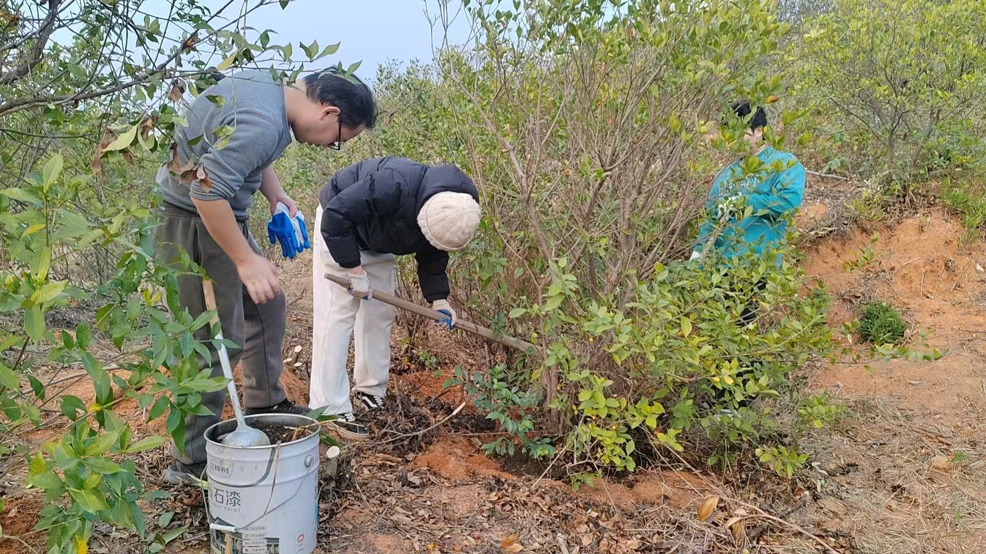 9d86cf2646126a2b4825976184ab58