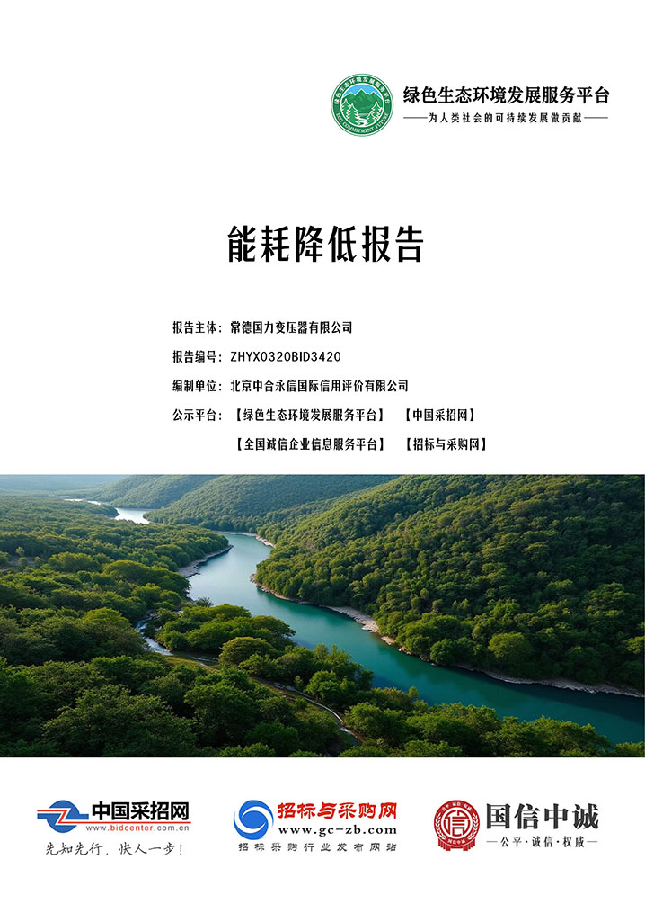常德国力变压器有限公司_能耗降低报告_20260324093