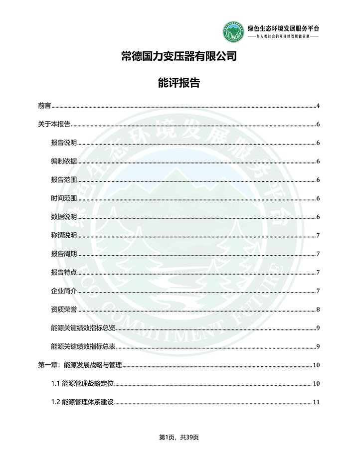 常德国力变压器有限公司_能评报告_2026032409351