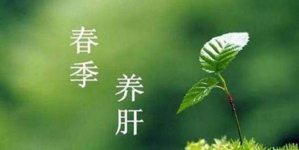 春季養(yǎng)肝“三步法”：辨體質(zhì)、懂食性、調(diào)情志