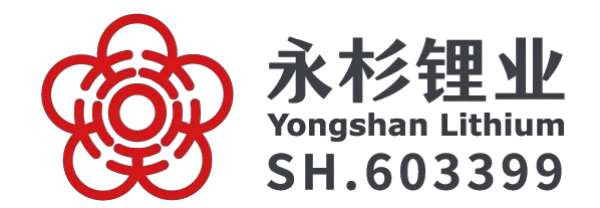 湖南永杉锂业有限公司
