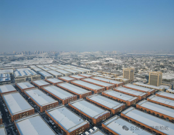 2024年1月25日，寒潮来袭，柏屹迎初雪