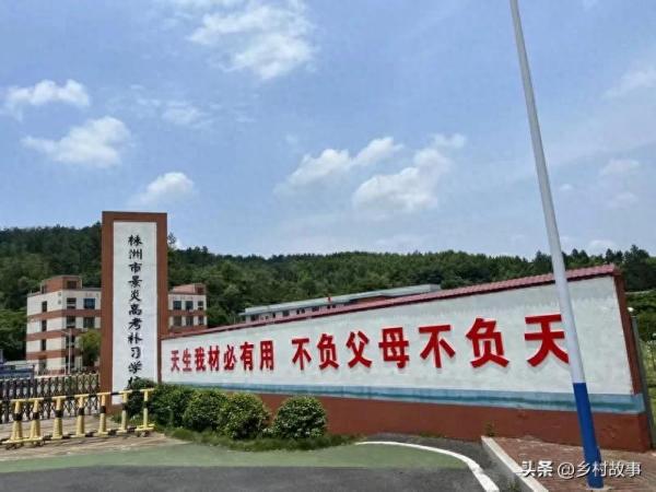 株洲景炎高考补习学校：多元学子梦想启航的港湾