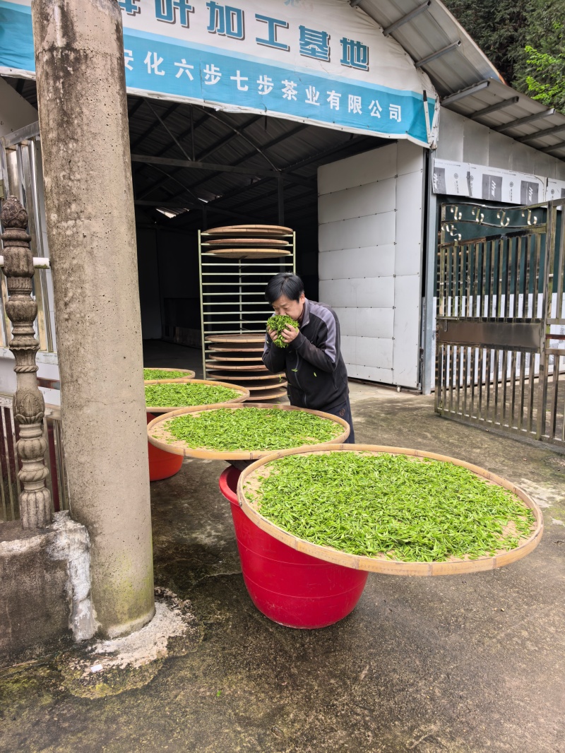 微信图片_20260424084932_33_629