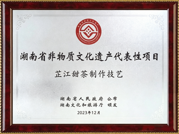 湖南省非物质文化遗产代表性项目