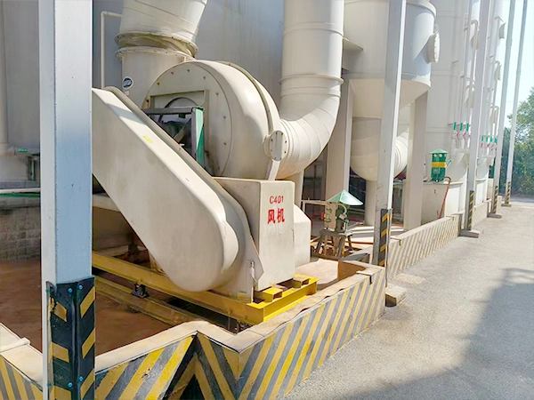 Plant 8