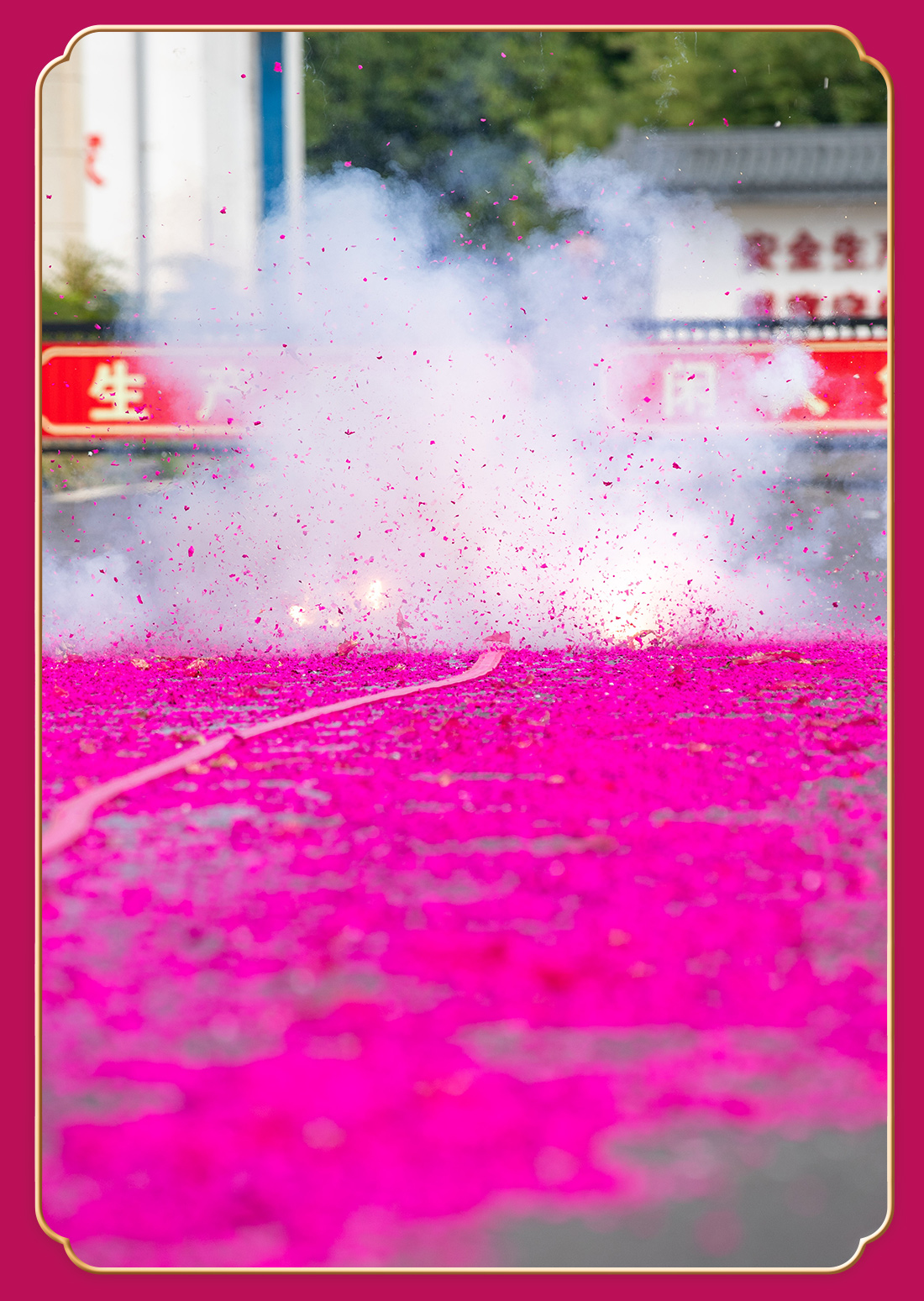 金旺玫瑰红情页_11