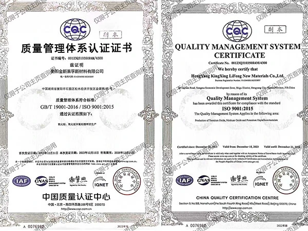 ISO 9001 Quality Management Sy