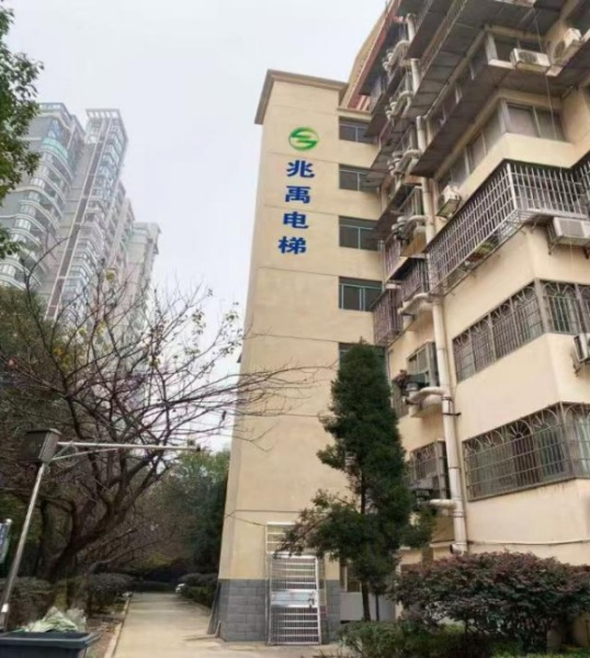 桔园路2019年