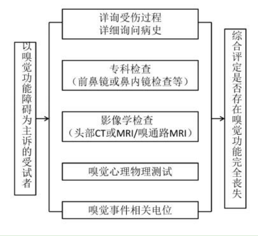 66d550d4-2109-43cb-b4c2-8d5074 66d550d4-2109-43cb-b4c2-8d5074
