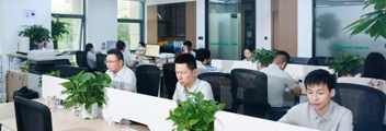 企业文化