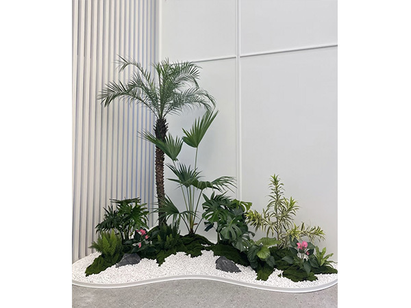 绿植养护小知识