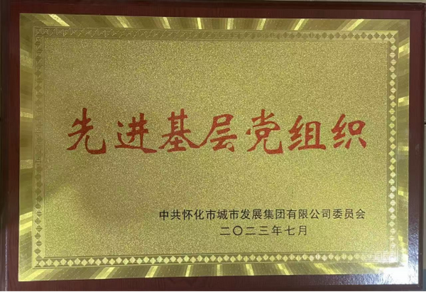 先进基层党组织