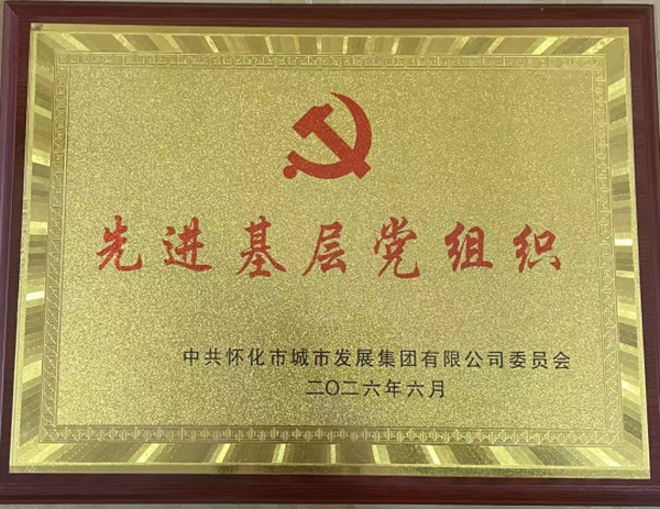 2026年先进基层党组织