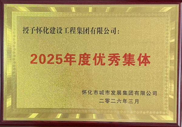 2025年度优秀集体