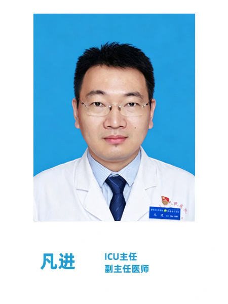 凡进