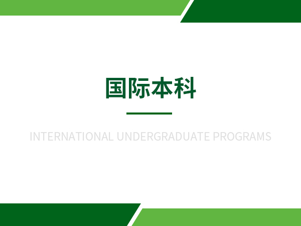 国际本科