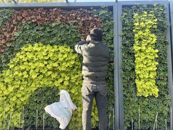 上海进博会主入口施工三年后效果如初。