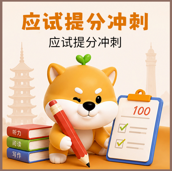 应试提分冲刺