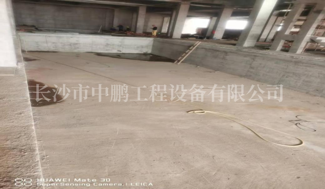 图片11