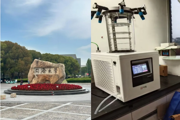 同济大学2
