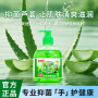 抑菌洗手液500g/瓶