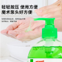 抑菌洗手液500g/瓶