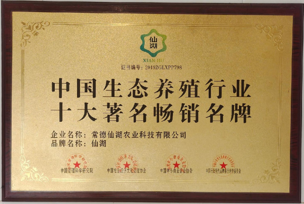 十大著名畅销名牌